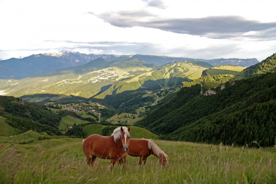 Parco Naturale del Monte Baldo