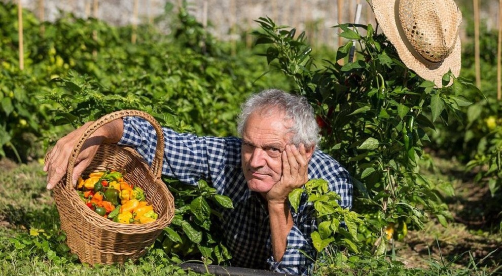 peperoncino-trentino