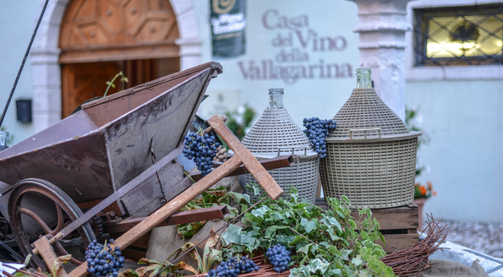 LA VIGNA ECCELLENTE (10)