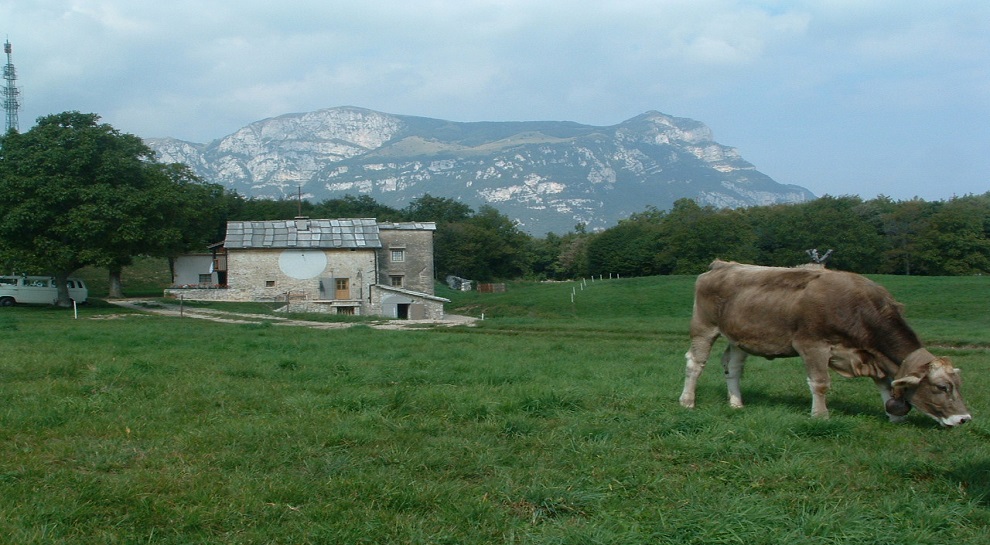 Fattoria didattica in Lessinia
