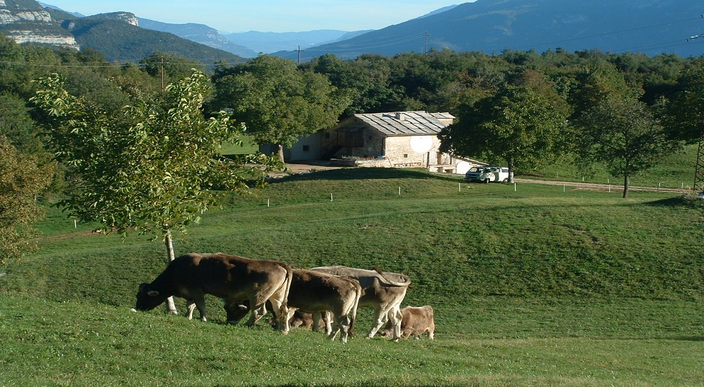 Fattoria didattica in Lessinia