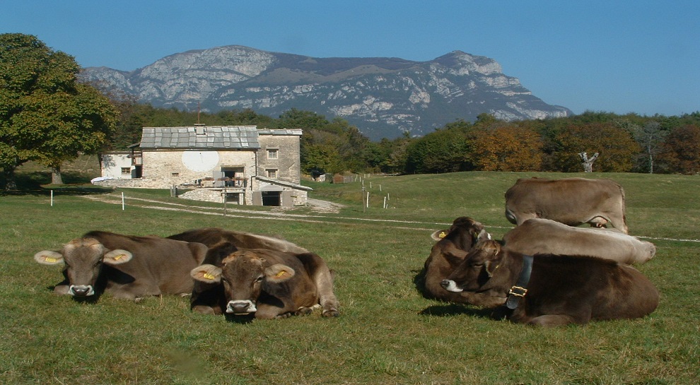Fattoria didattica in Lessinia