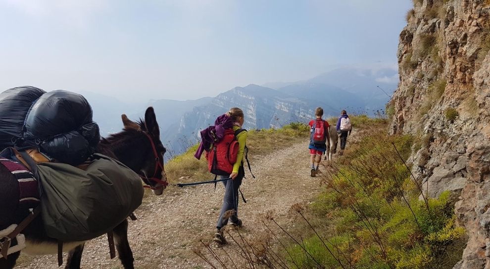 Trekking con gli asini Monte Baldo