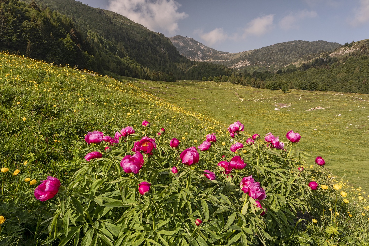 Monte Baldo-Foto Luciano Gaudenzio