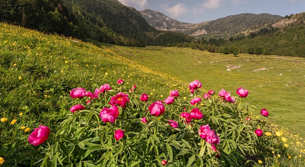 Monte Baldo-Foto Luciano Gaudenzio