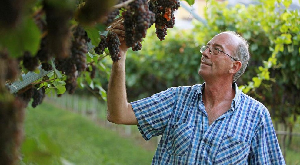 Castello di Avio e le cantine della valle-Cantina Martinelli