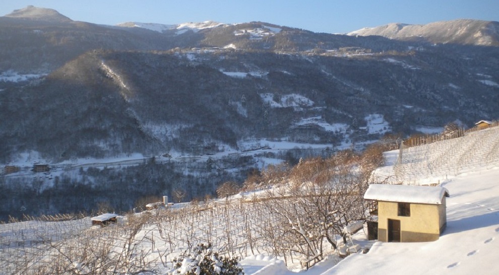 panorama-invernale-delle-campagne-di-cazzano-verso-la-polsa (1)