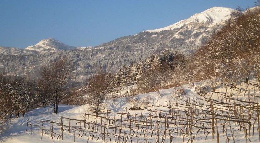 panorama-invernale-delle-campagne-di-cazzano