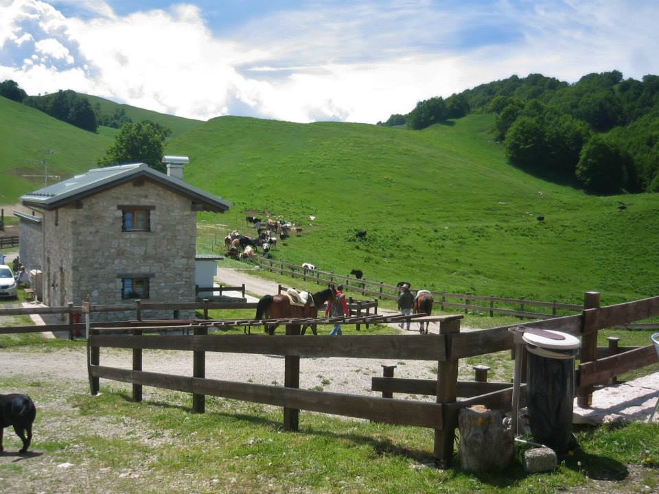 malga susine