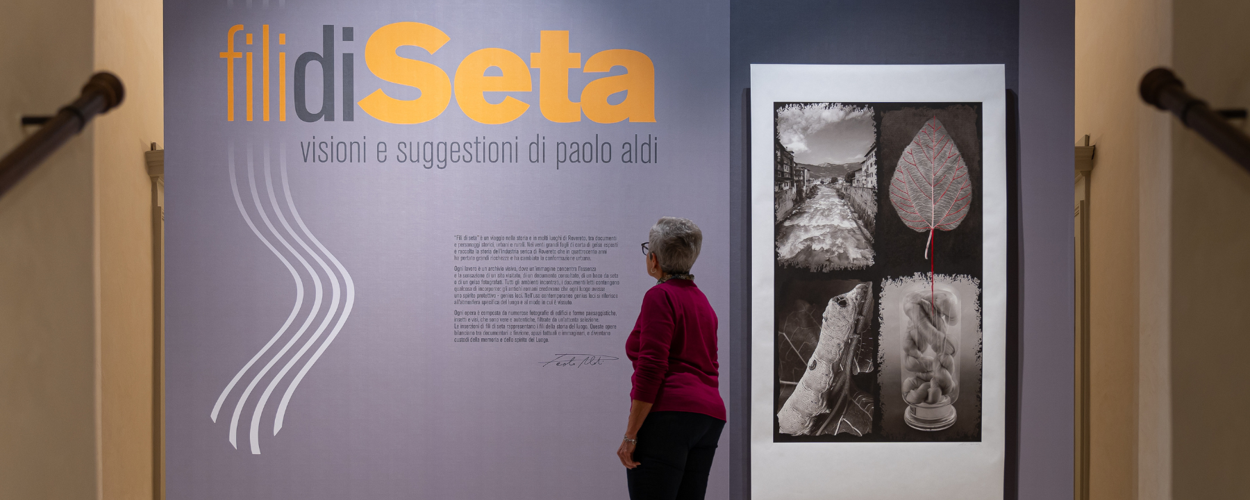 mostra-fili-seta
