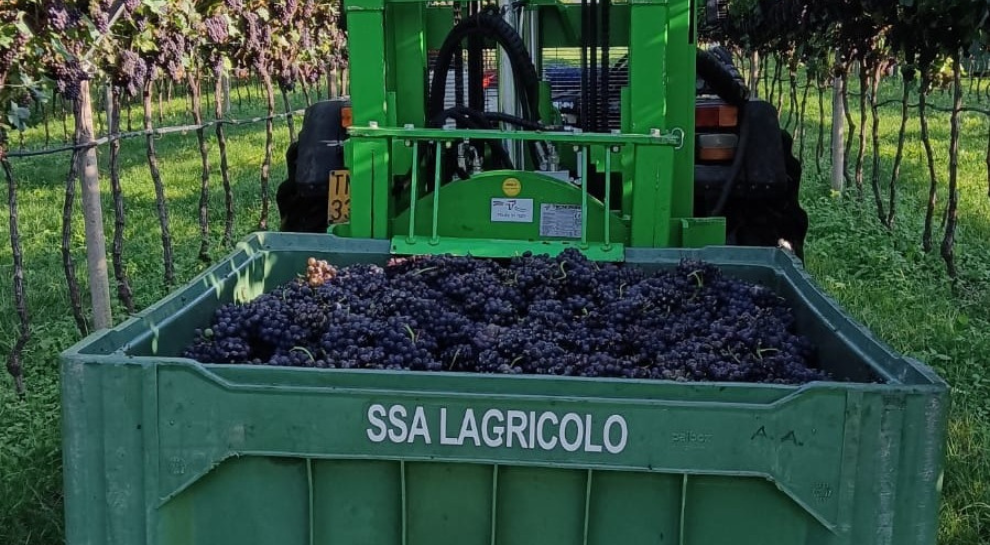 Società-agricola-lagricolo (3)