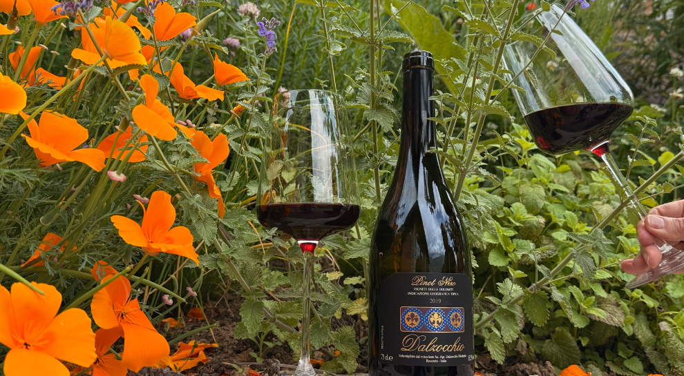 Passeggiata-tra-i-vigneti -in-fiore