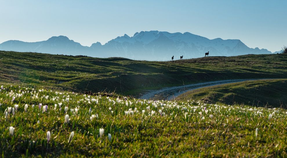 Primavera-in-Vallagarina-Monti-Lessini-@visitrovereto-Foto-di-Marco-Simonini